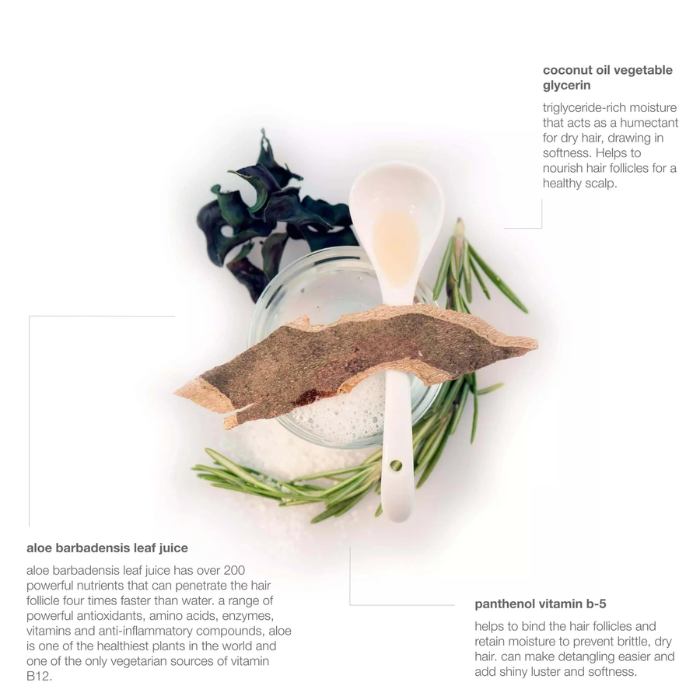 Limpiador hidratante para el cabello de Palo Santo