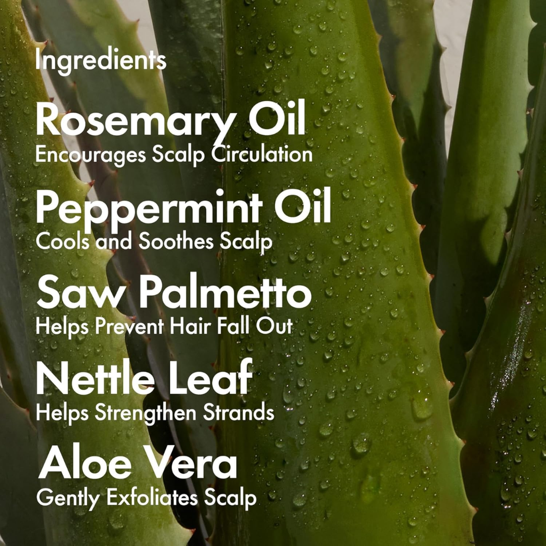 Intensive Daily Scalp Spray For Thinning Hair with Rosemary