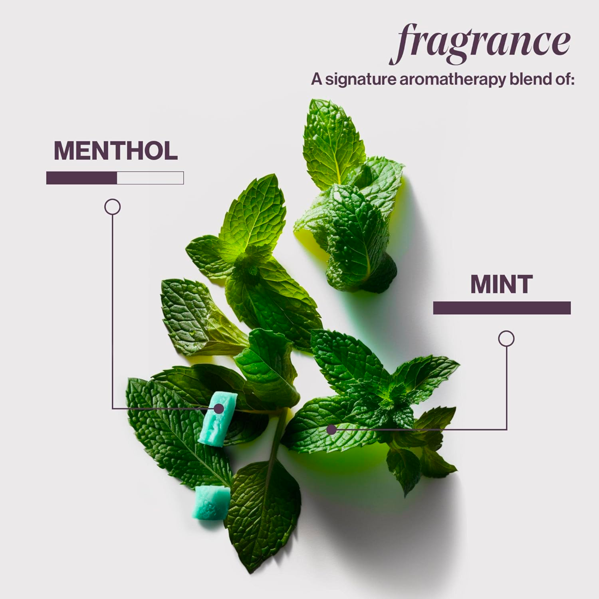 Pureology Hydrate Moisturizing Shampoo and Conditioner Set