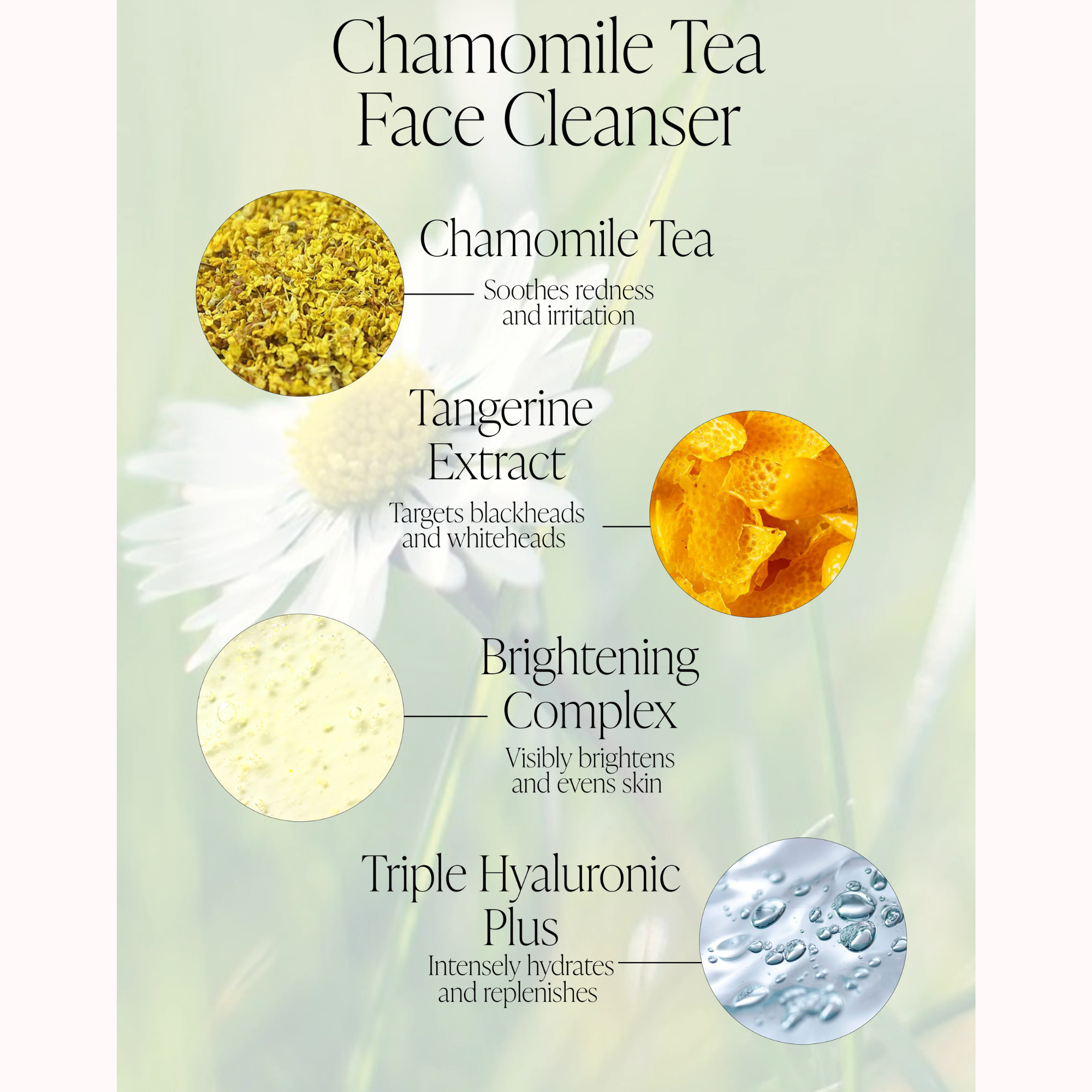 Chamomile Tea Face Cleanser