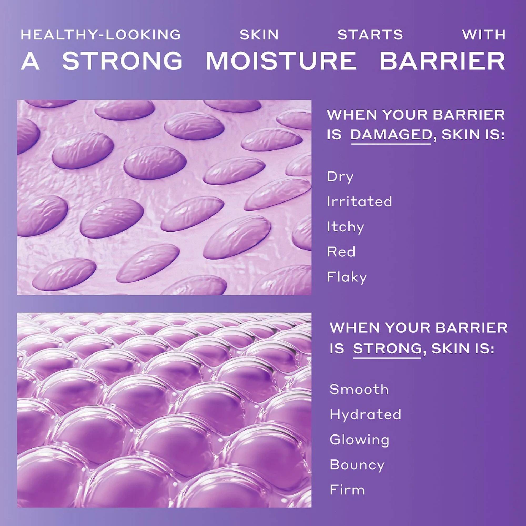 Skin Barrier Strengthening Moisturizer with Peptides and Niacinamide