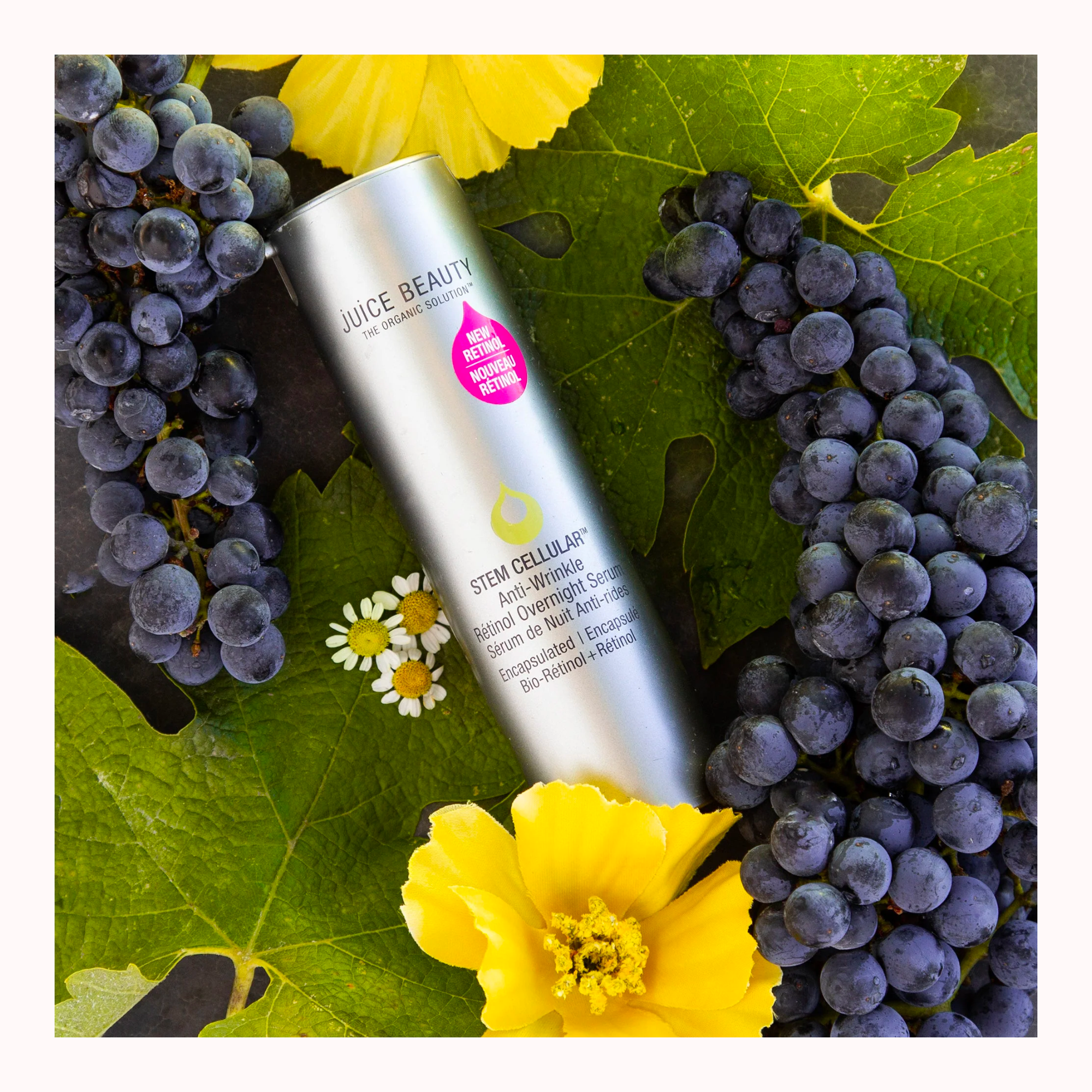 Stem Cellular Anti-wrinkle Retinol Overnight Serum