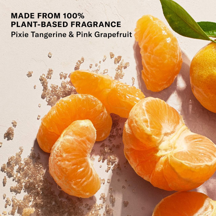 Mini Topless Tangerine - Whipped Argan Oil Refillable Firming Body Butter