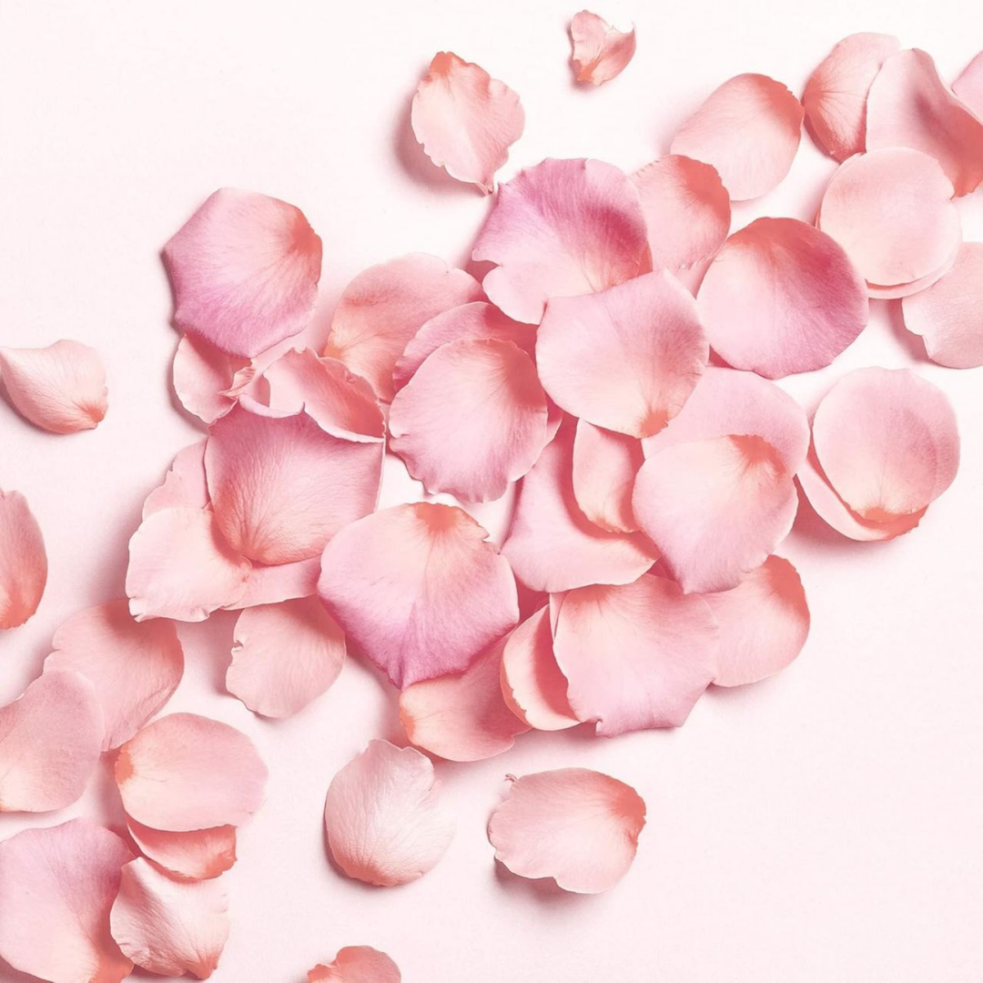 Rosé Moisturizing Body Lotion