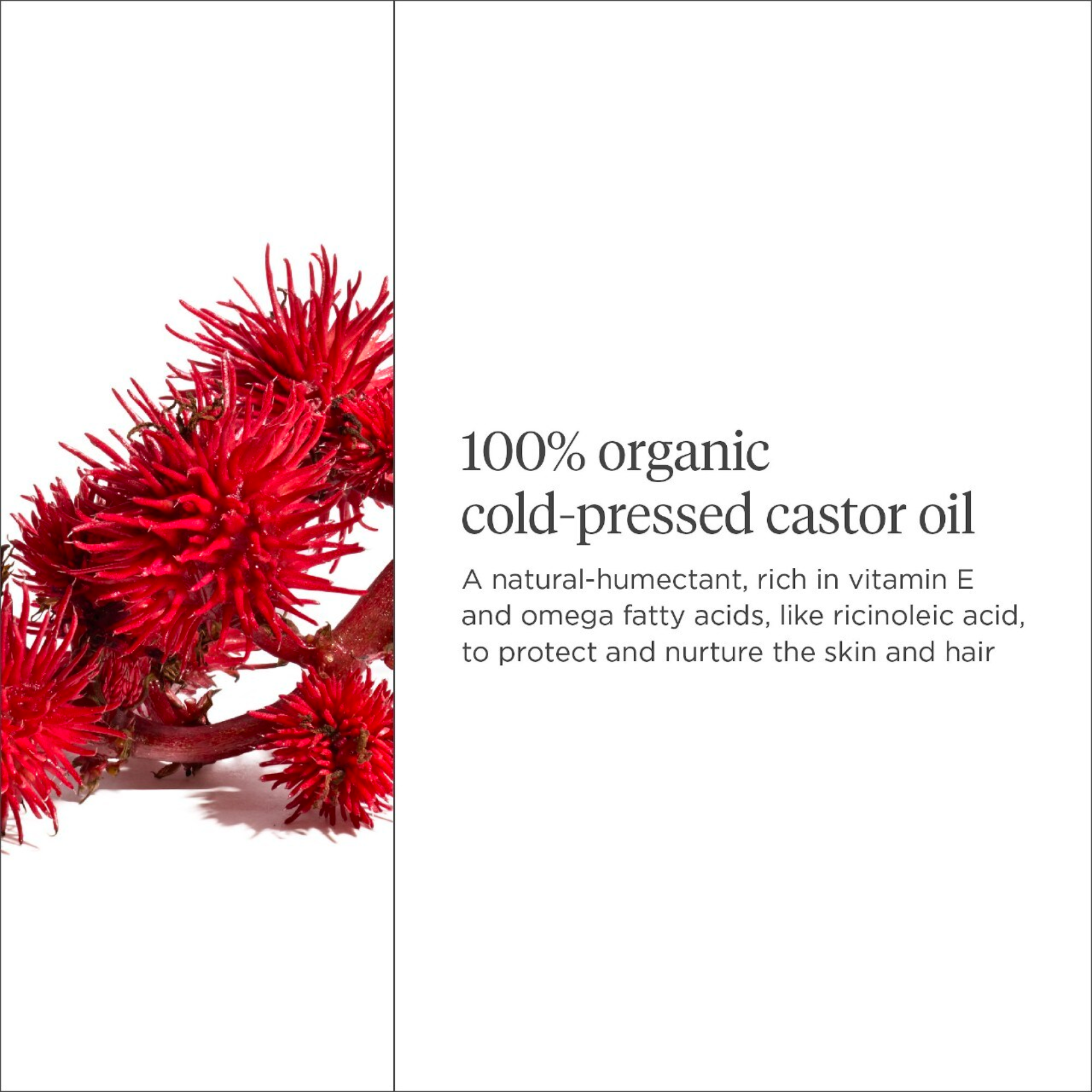 B.WELL Organic + Cold-Pressed 100% Castor Oil