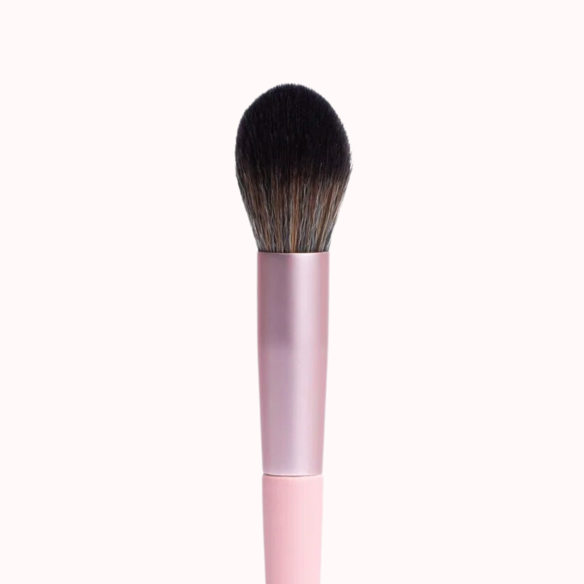 Complexion Brush Trio