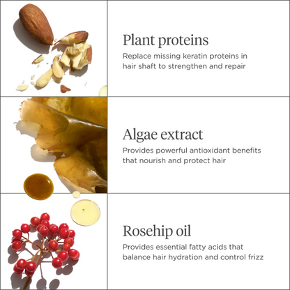 Don’t Despair, Repair!™ Rosehip + Algae Super Moisture Shampoo