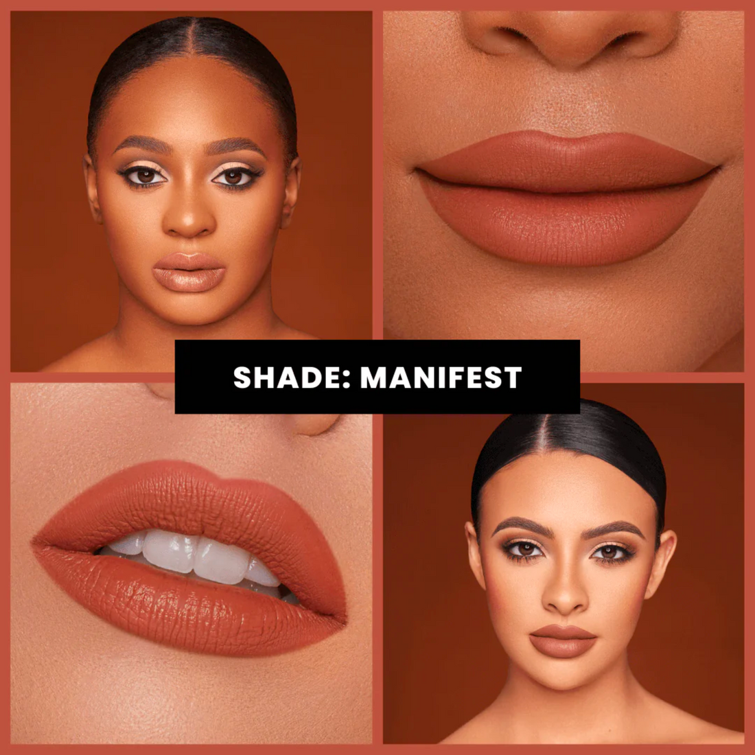 Pout Perfect Liquid Lipstick (manifest)