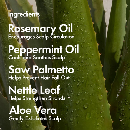 Intensive Daily Scalp Spray For Thinning Hair with Rosemary