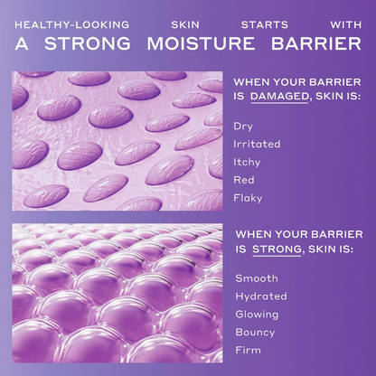 Skin Barrier Strengthening Moisturizer with Peptides and Niacinamide