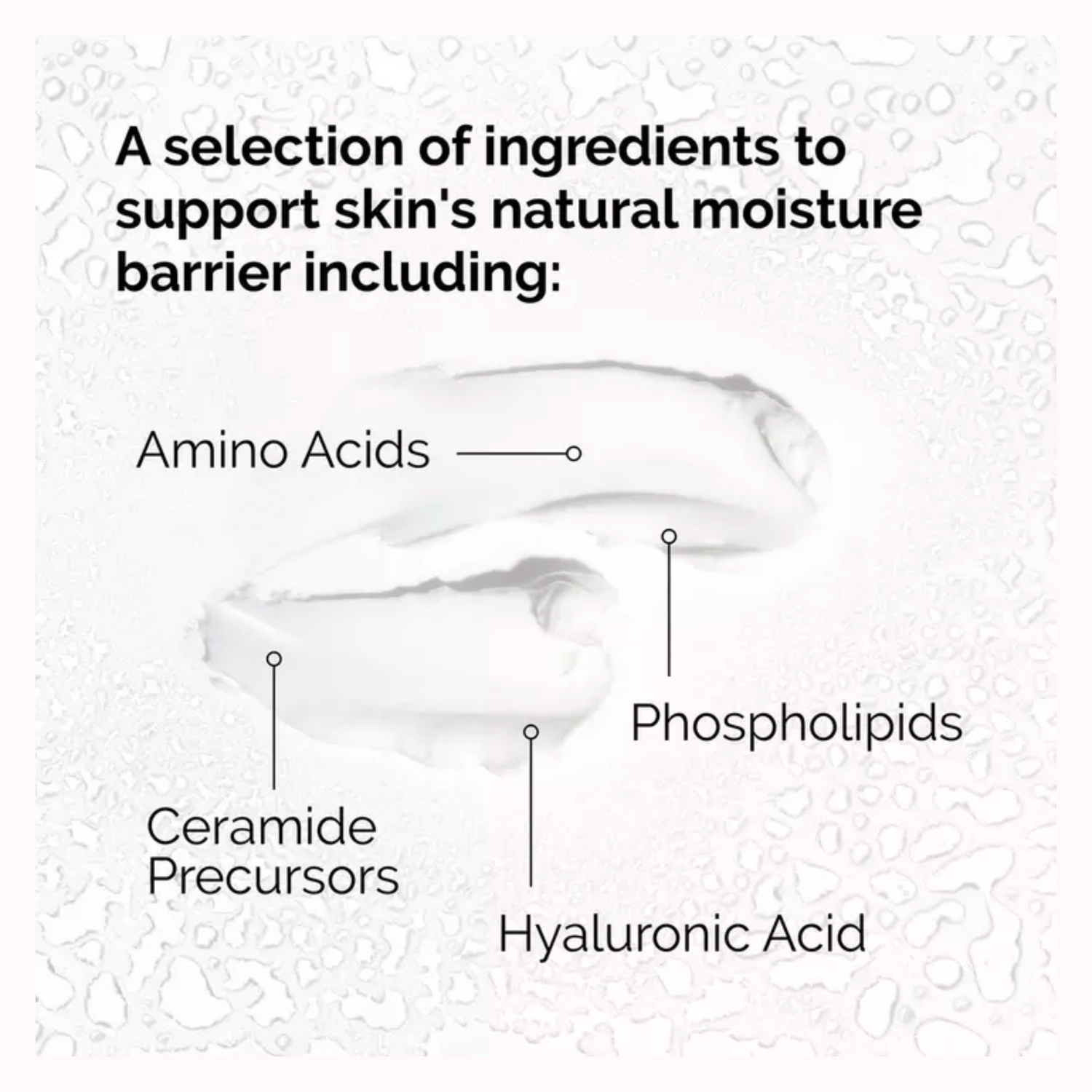 Natural Moisturizing Factors + HA Daily Moisturizer