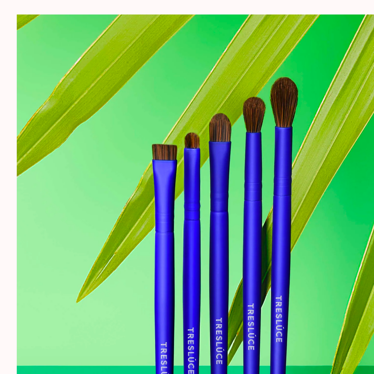 Eye Amor Brush Set