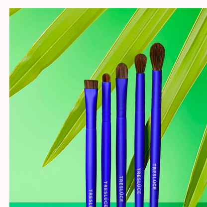 Eye Amor Brush Set